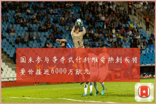 国米参与争夺武什科维奇热刺或将要价接近6000万欧元