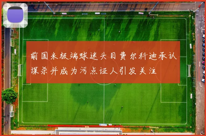 前国米极端球迷头目费尔科迪承认谋杀并成为污点证人引发关注