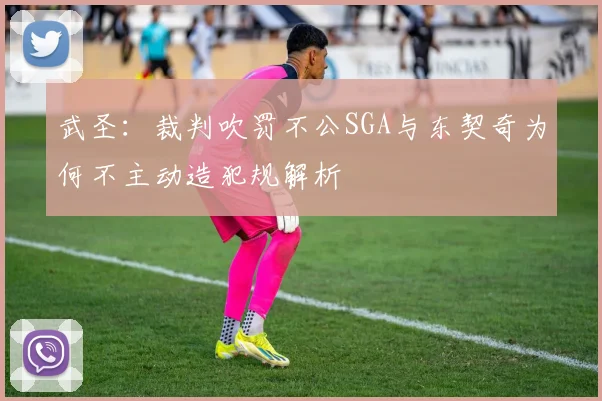 武圣：裁判吹罚不公SGA与东契奇为何不主动造犯规解析